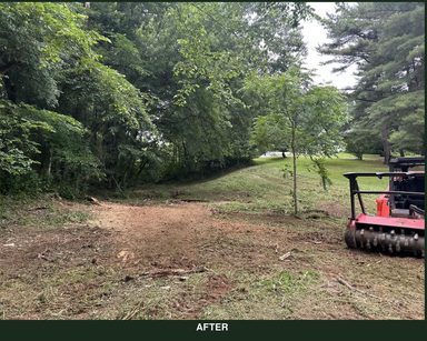 The same driveway edge cleared and mulched down to open ground