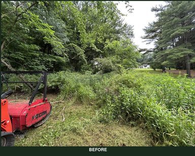 Driveway edge overgrown with brush and tall grass before mulching