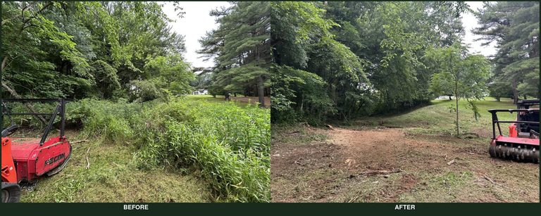 Overgrown driveway edge before and after mulching