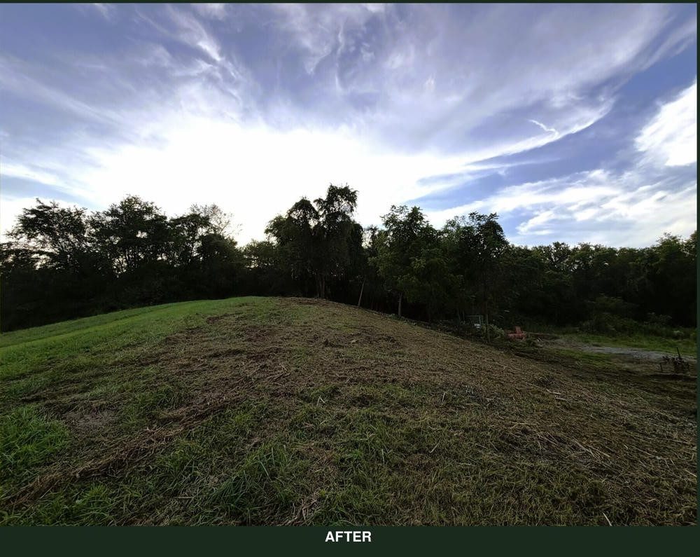 The same trail opened up and mulched, ready to walk or drive