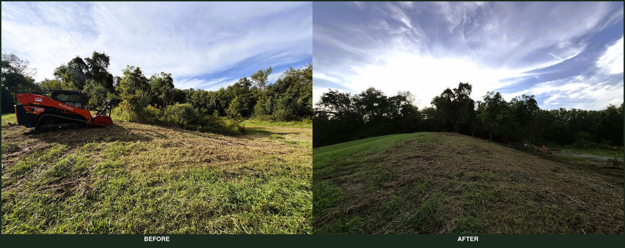 Overgrown trail before and after clearing