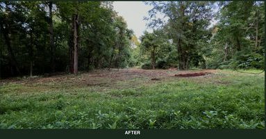 The same field edge pushed back to an open, maintainable boundary