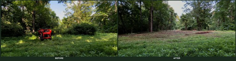 Field edge before and after restoration
